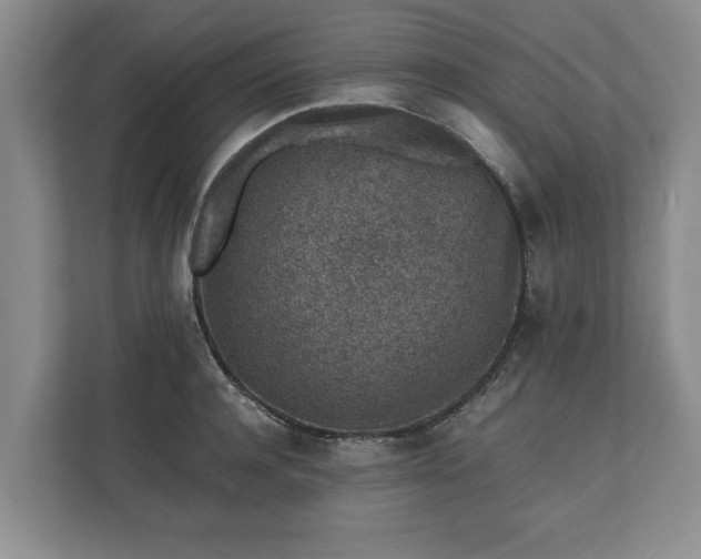 X0000110690944200906191504