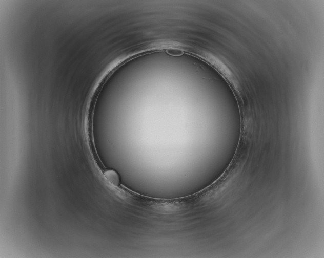 X0000110690947200906191504