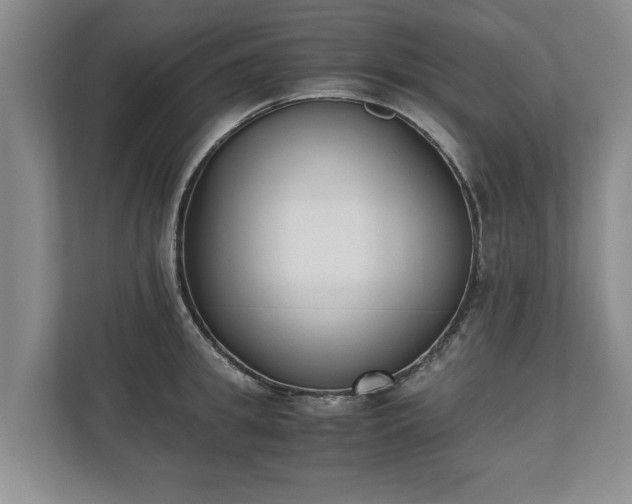 X0000110690949200906191504