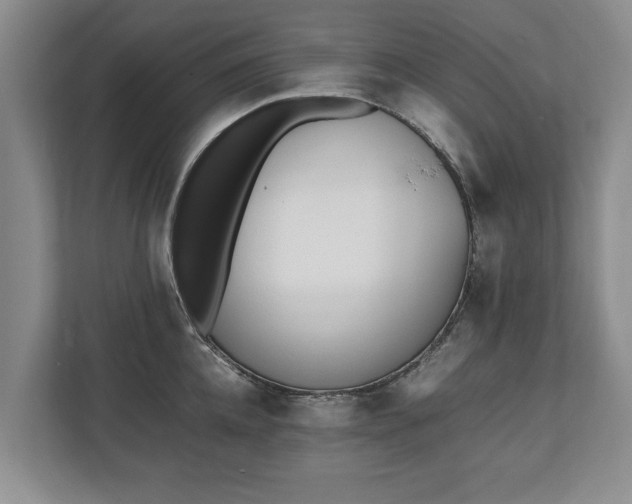 X0000110690952200906191505