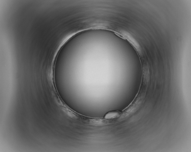 X0000110690956200906191505