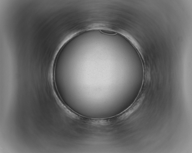 X0000110690957200906191505