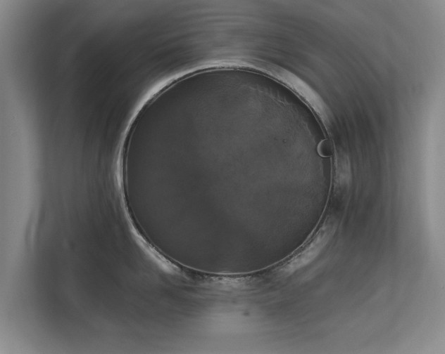 X0000110690958200906191505