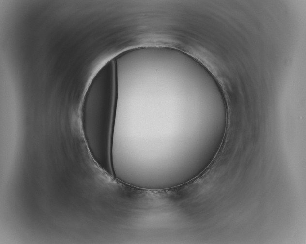 X0000110690960200906191505