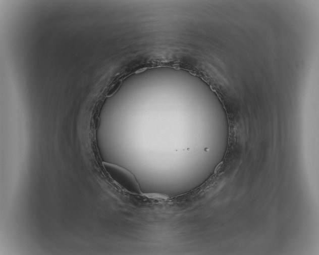 X0000110690961200906191504