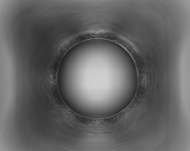 X0000110690966200906191504