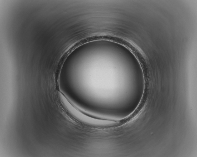 X0000110690969200906191504