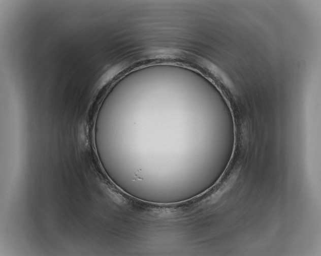 X0000110690970200906191504