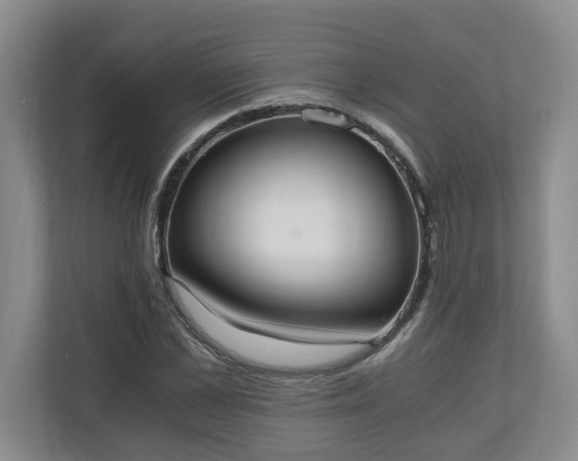 X0000110690973200906191504