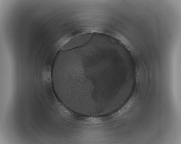 X0000110690977200906191504