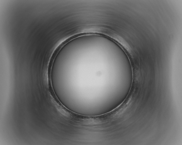 X0000110690980200906191504