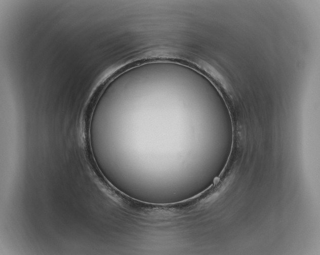 X0000110690981200906191504