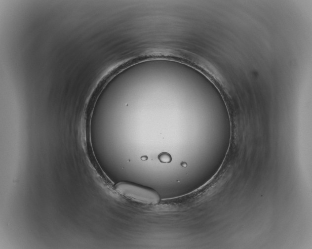 X0000110690984200906191504