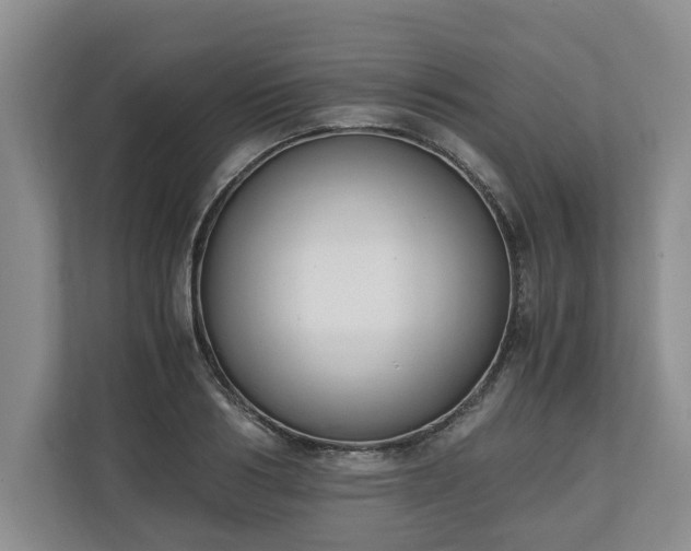 X0000110690986200906191504