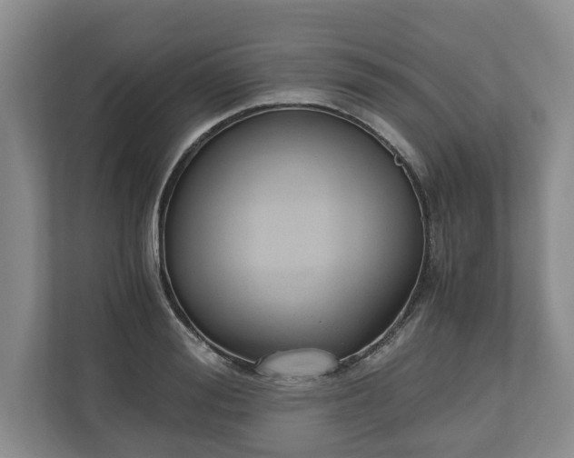 X0000110690988200906191504