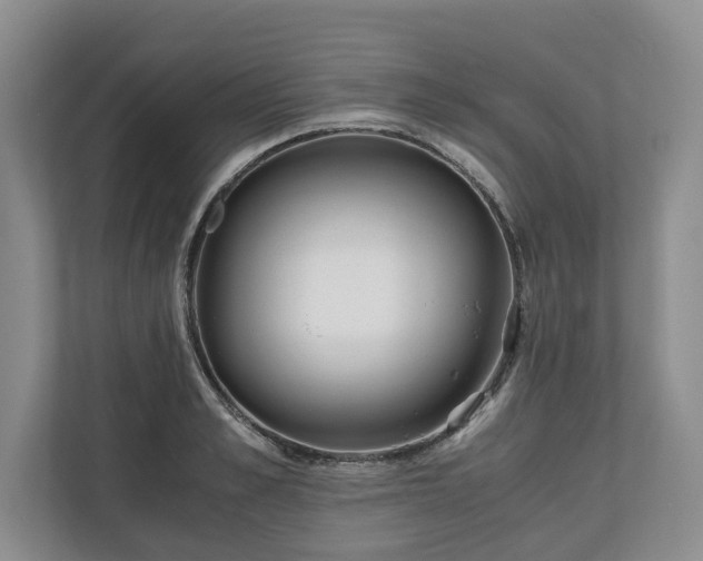 X0000110690989200906191504