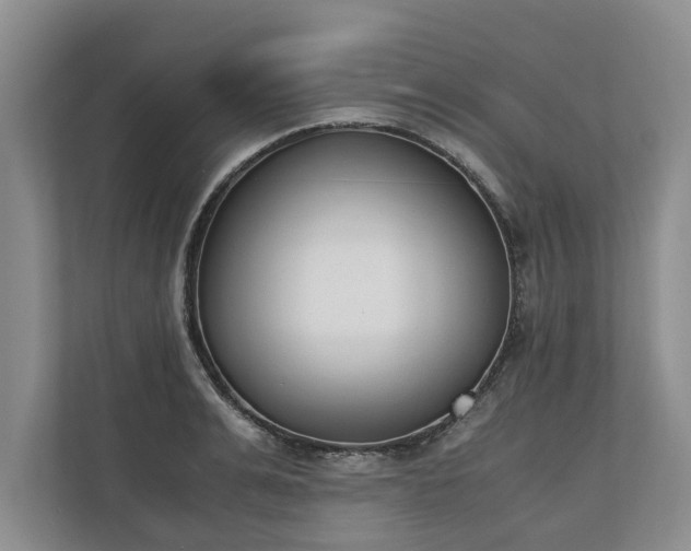 X0000110690991200906191504