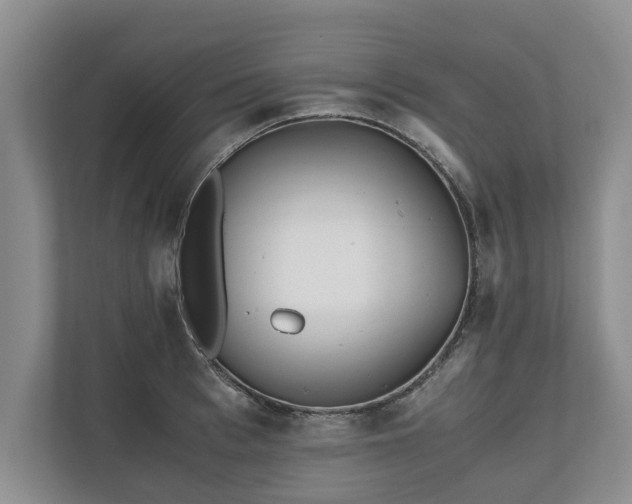 X0000110690993200906191504