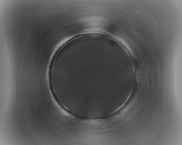 X0000110690995200906191504