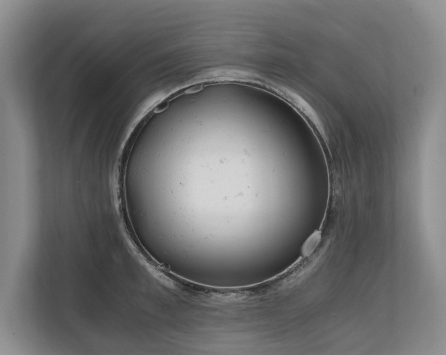 X0000110690997200906191504