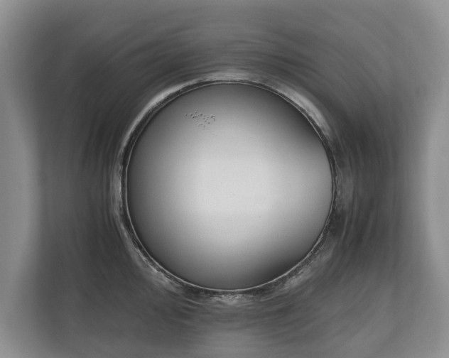 X0000110691000200906191504