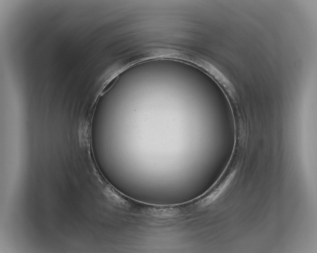 X0000110691001200906191503