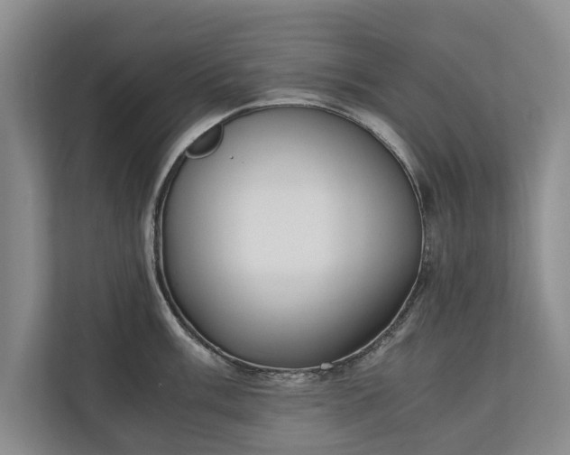 X0000110691003200906191503