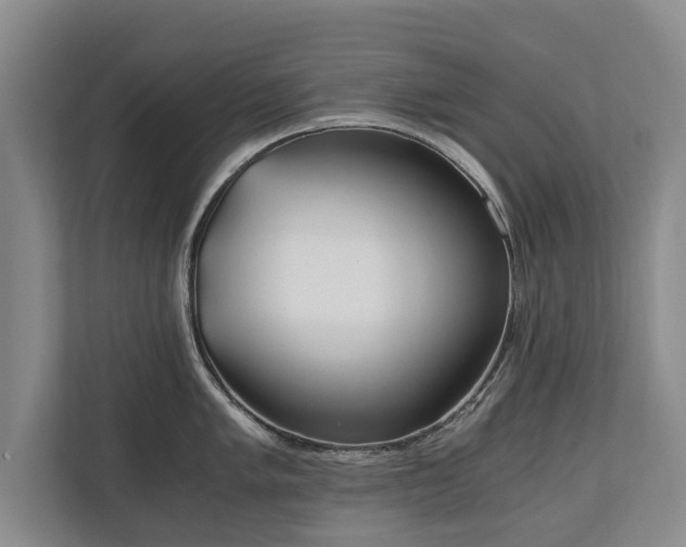 X0000110691005200906191503