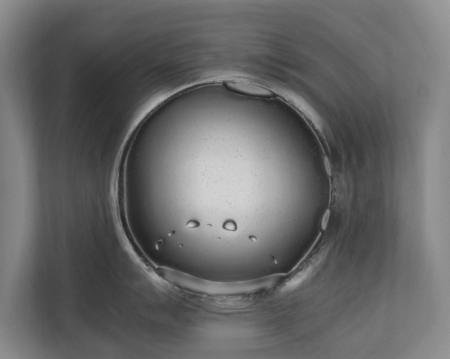 X0000110691007200906191503