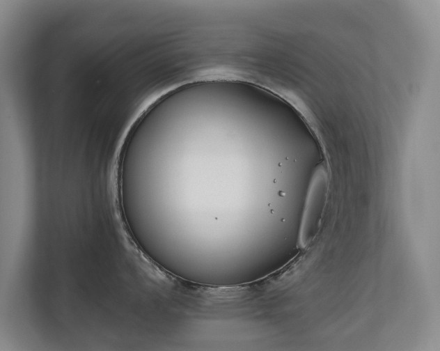 X0000110691008200906191503