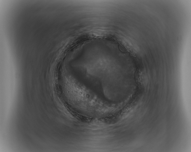 X0000110691009200906191503