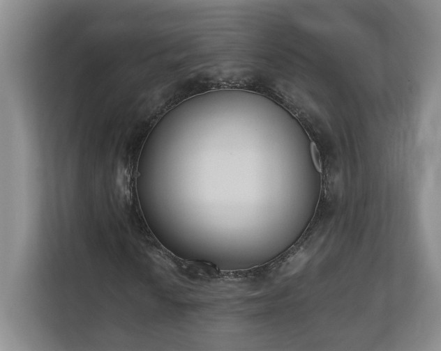 X0000110691010200906191503