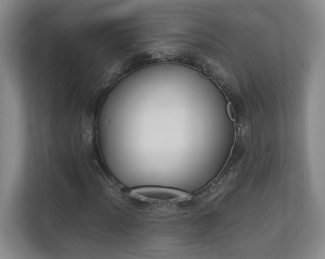 X0000110691012200906191503