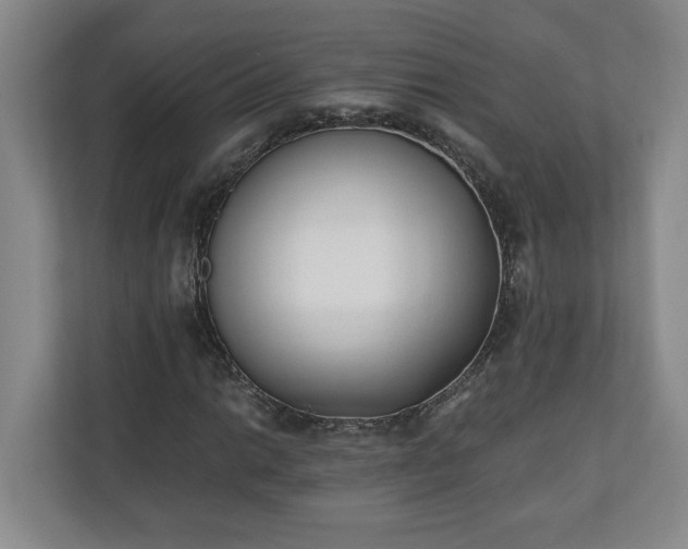 X0000110691014200906191503