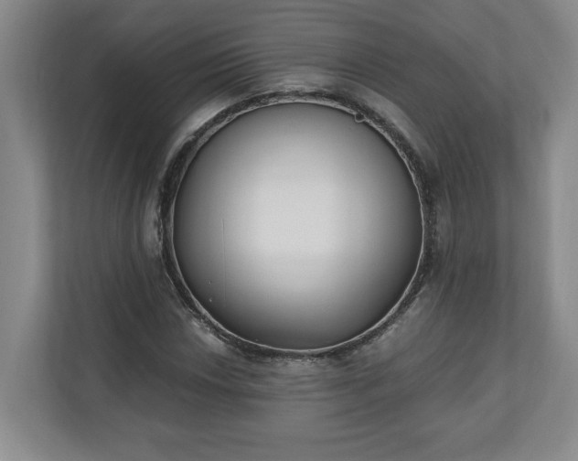 X0000110691018200906191503