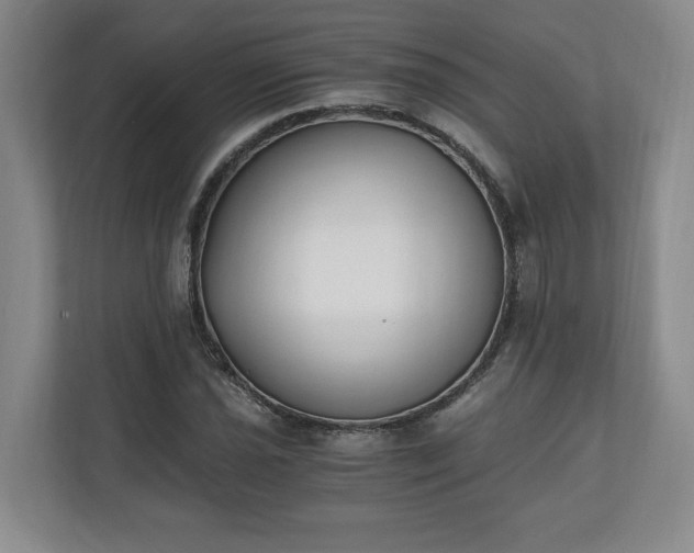 X0000110691021200906191503