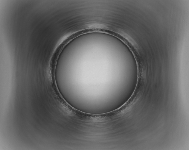 X0000110691022200906191503