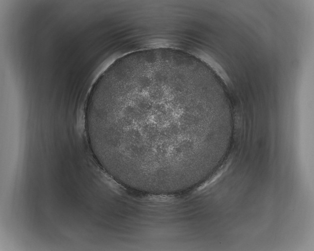 X0000110691023200906191503