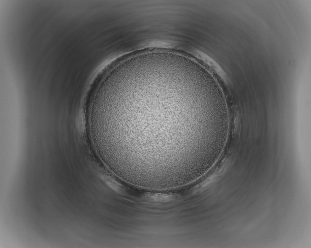 X0000110691027200906191503