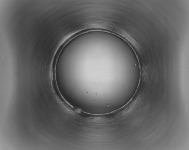 X0000110691028200906191503