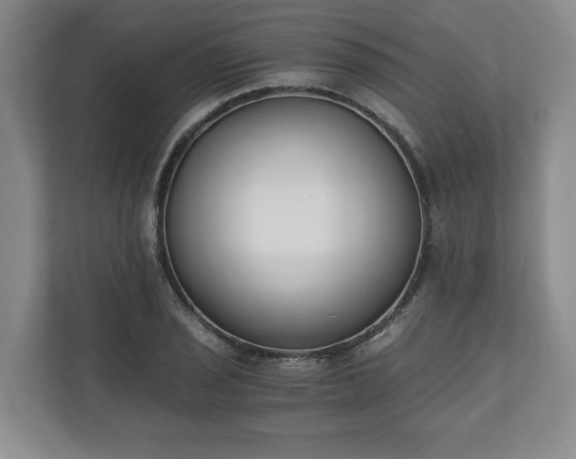 X0000110691029200906191503