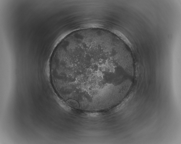 X0000110691031200906191503