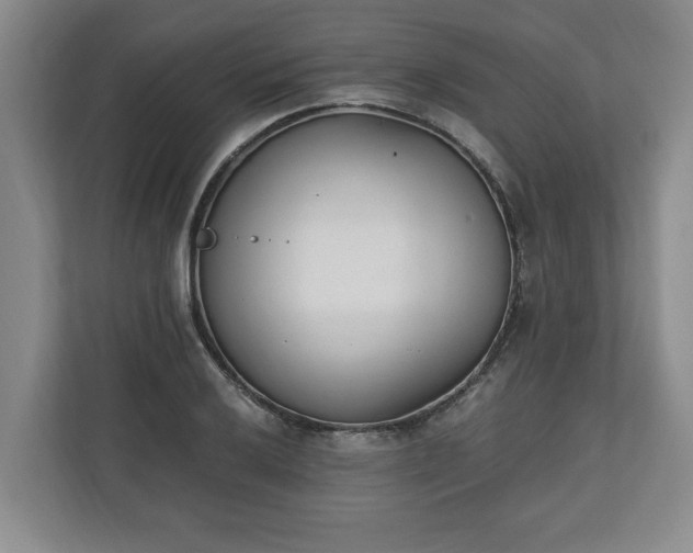 X0000110691032200906191503