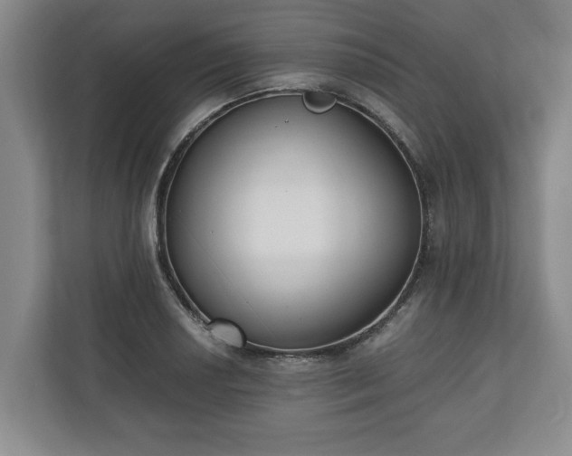 X0000110691034200906191503