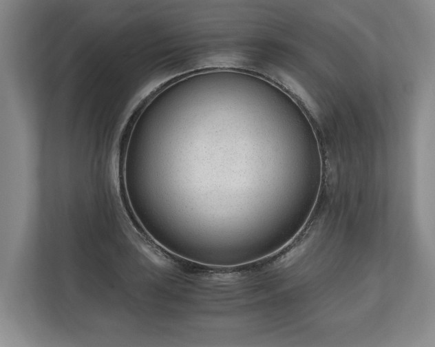 X0000110691035200906191503