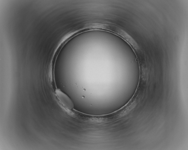 X0000110691036200906191503