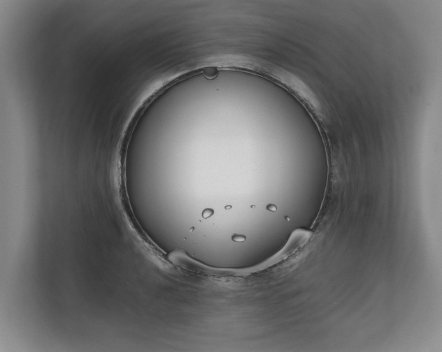 X0000110691040200906191503