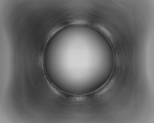 X0000110691041200906191503