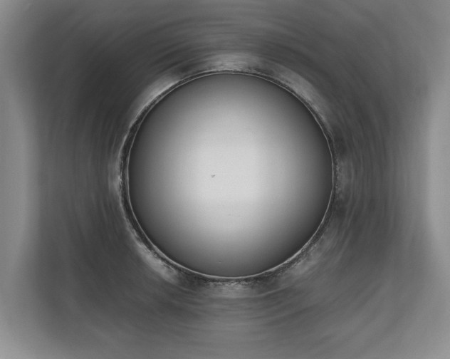 X0000110691042200906191503