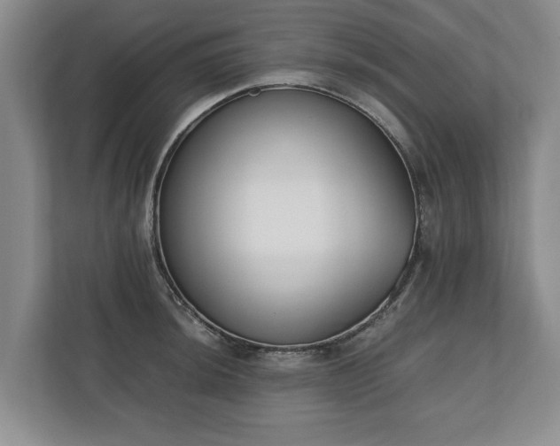 X0000110691044200906191503